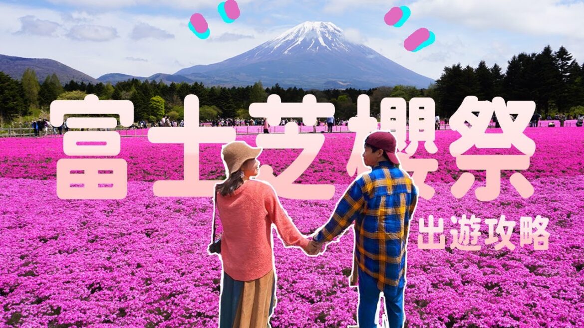 【日本5月花海】富士芝櫻祭出遊攻略🌸1年1度會場實況｜我們的遊覽建議? 芝櫻不是櫻花? #日本自由行 #山梨縣 #富士山
