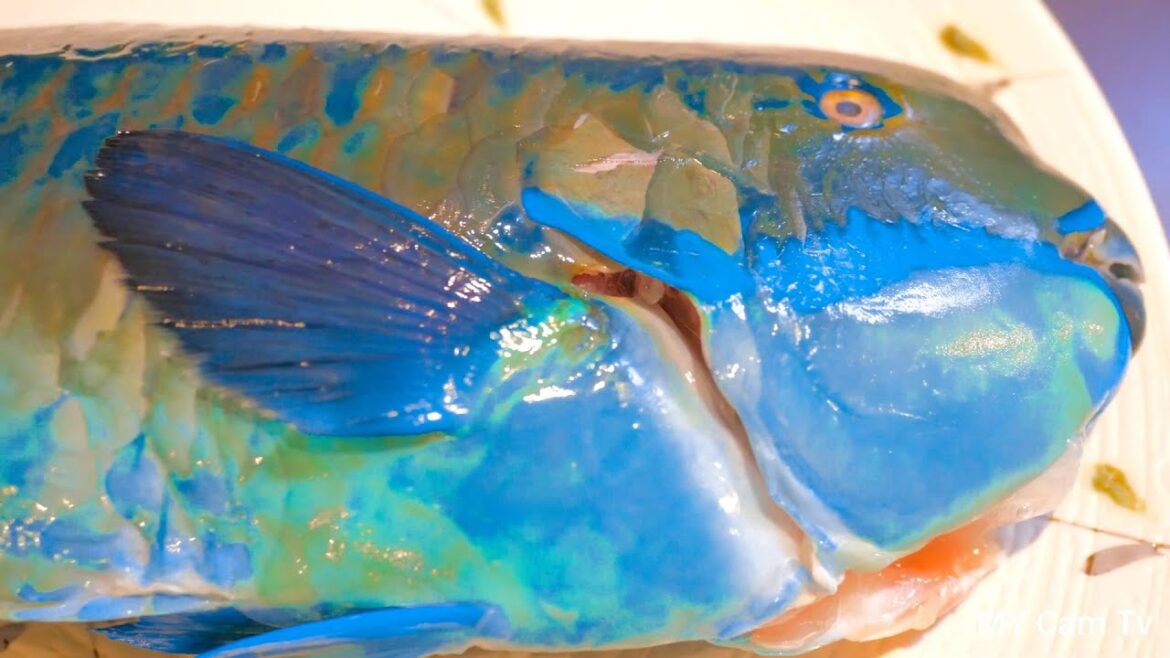 Japanese street Food, Wow..!!!THIS BLUE FISH IS MADE THE MOST EXPENSIVE SASHIMI