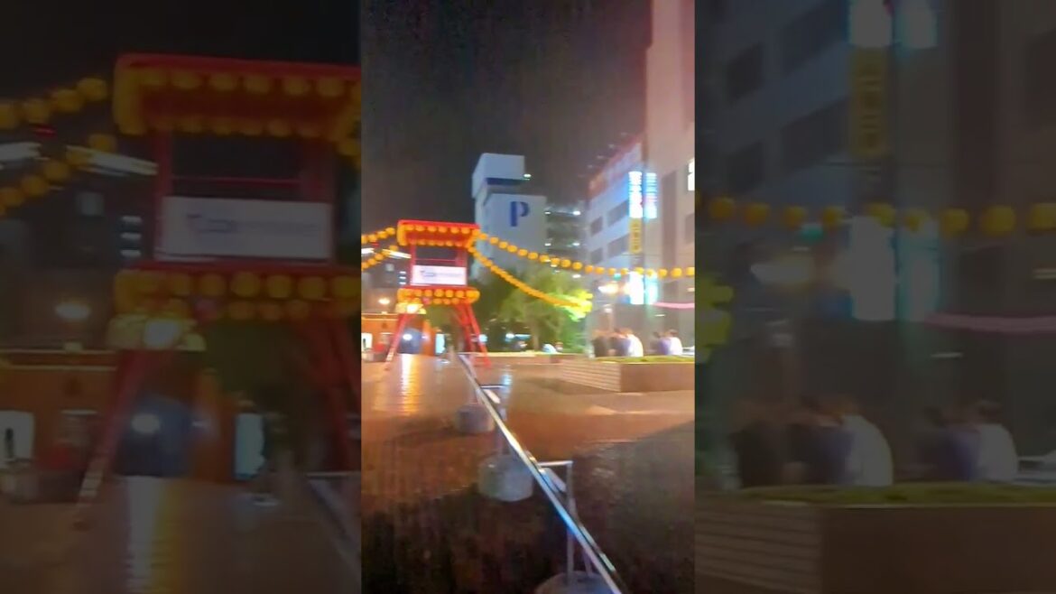 Night Life in Hiroshima 😍広島のナイトライフ 😍 #travel #japan