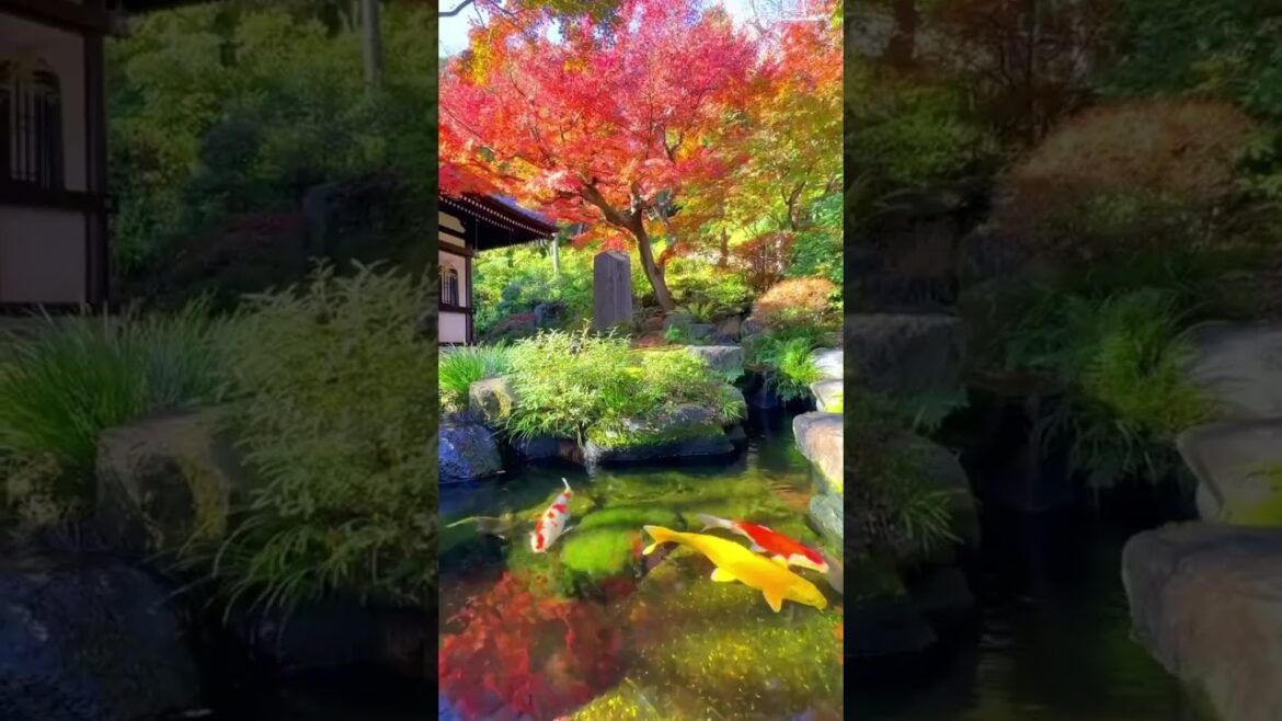 Beautiful Japan #travel #traveling #explore #explorepage #beautiful #world #shorts #fyp #viral