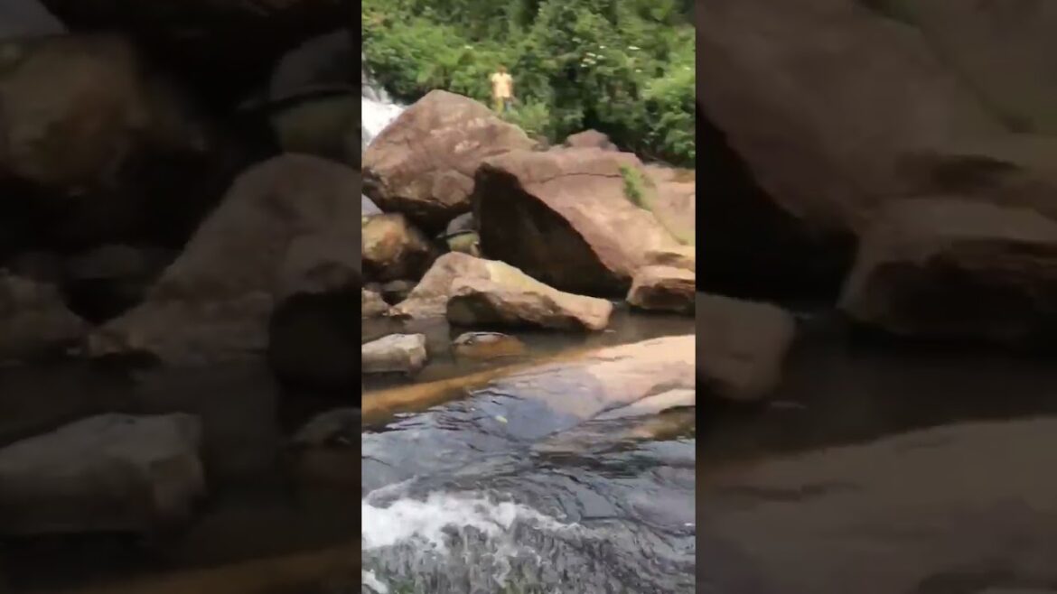 #shorts | Goraka Ella is a beautiful waterfall in Sri Lanka 😍🤩 #youtubeshorts 🔥 #short