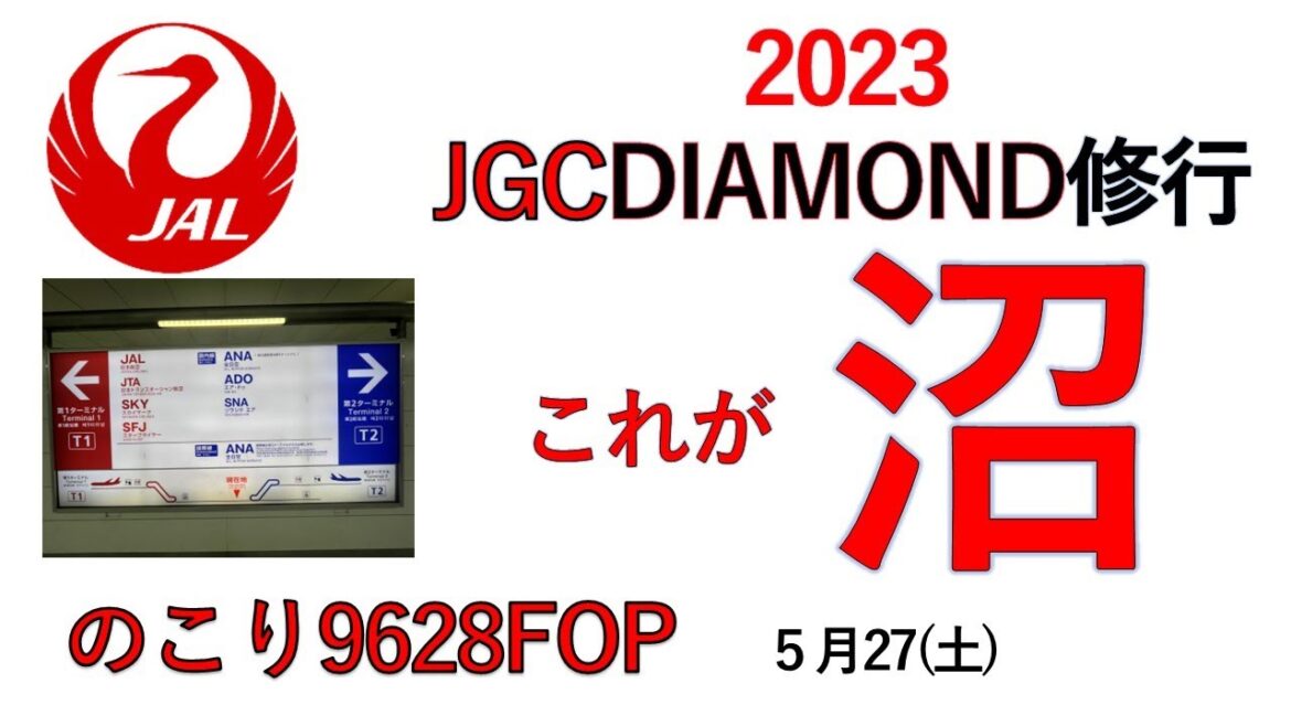JGCDIAMOND修行再開4 JGCDIAMOND修行再開4