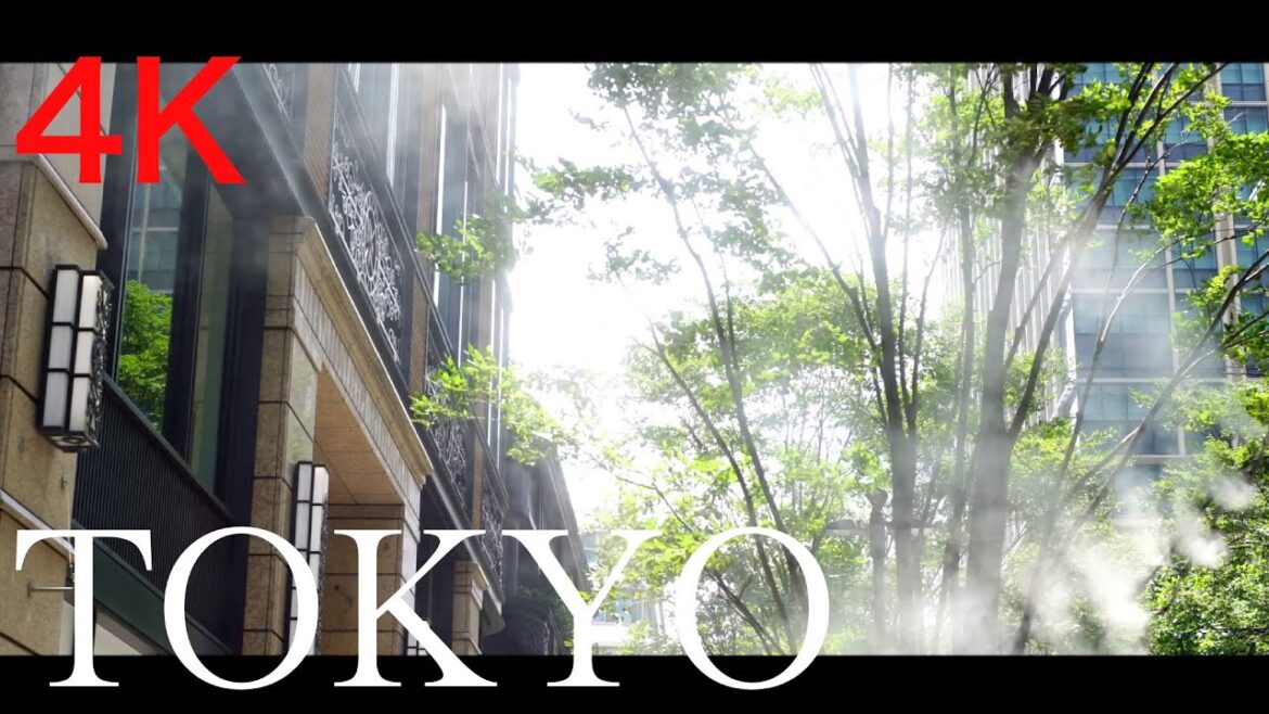 東京散歩 優雅なる「東京国際フォーラム、丸の内、銀座」 / TOKYO Walking "Marunouti、Ginza、International Forum" 【4K】