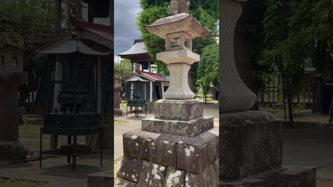 HISTORIC PLACE in JAPAN 🇯🇵 short #japan #japantravel