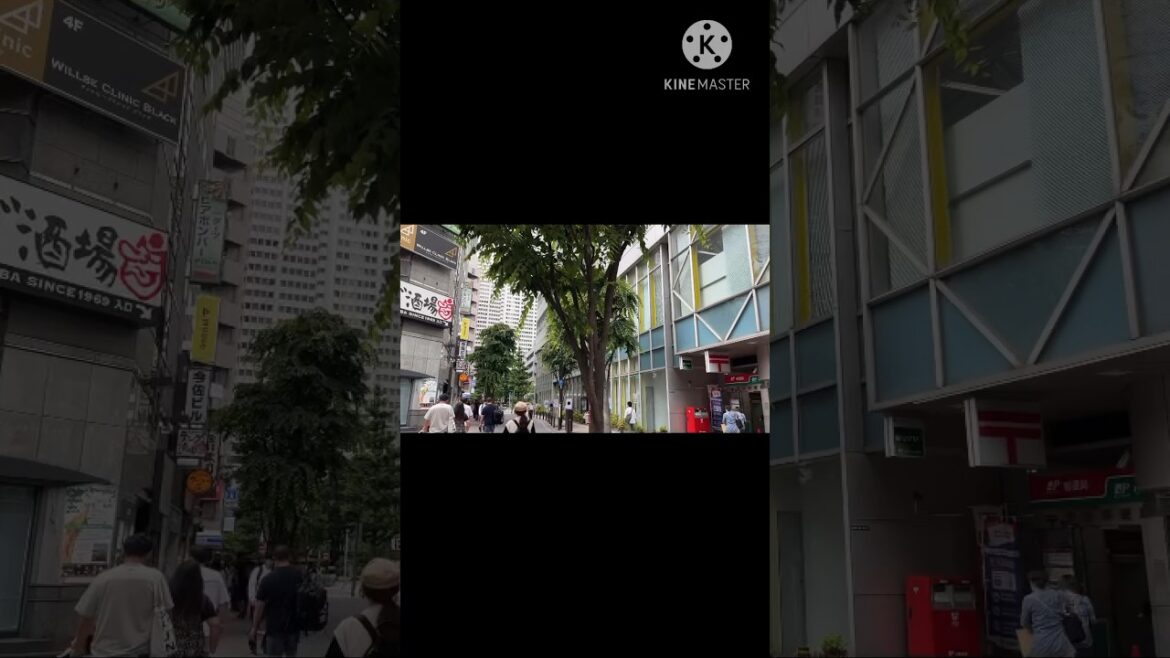 Travel To Japan 🇯🇵 Tokyo Trip Day 1