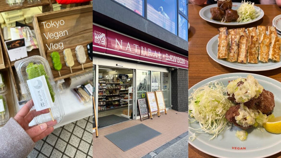 Tokyo Farmers Market 🍠 | Conbini vegan finds 🌱 | Japan Vegan Travel - Part 6