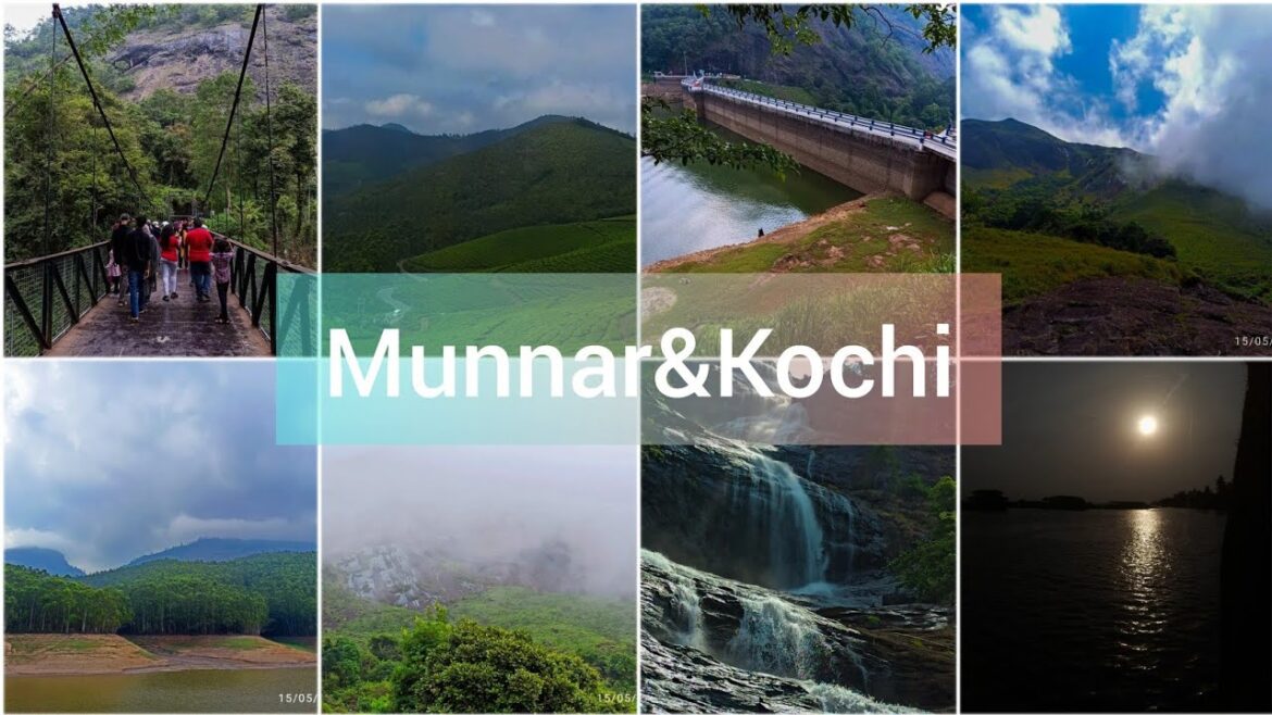 Photo walk on Munnar & Kochi || Photo walk 🚶‍♀️ 📷