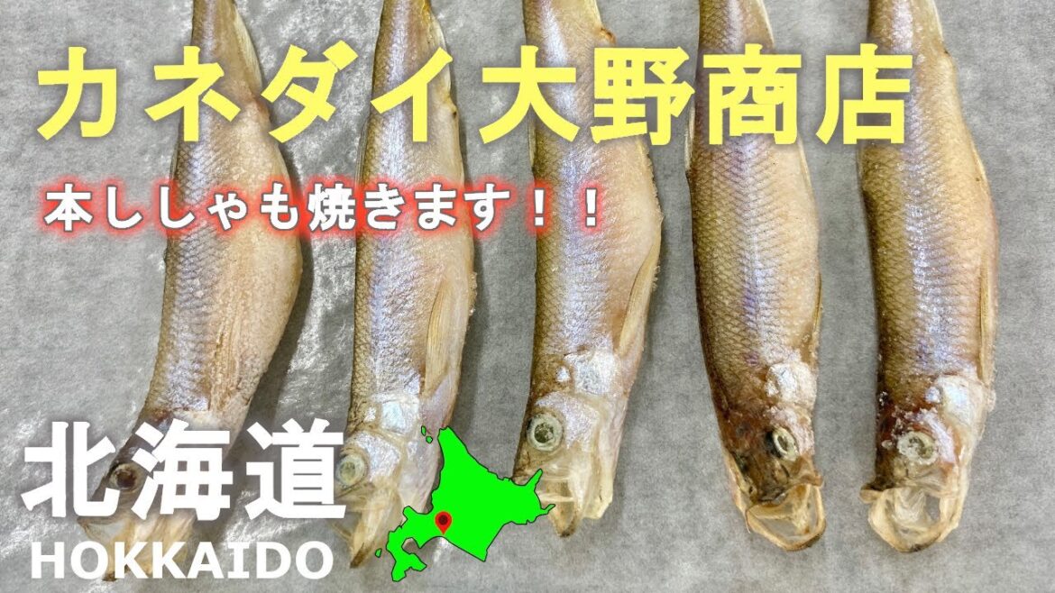 北海道カネダイ大野商店で本物のししゃも焼きます！普段のししゃもは偽物！Grill real shishamo at Hokkaido Kanedai Ohno Shoten!