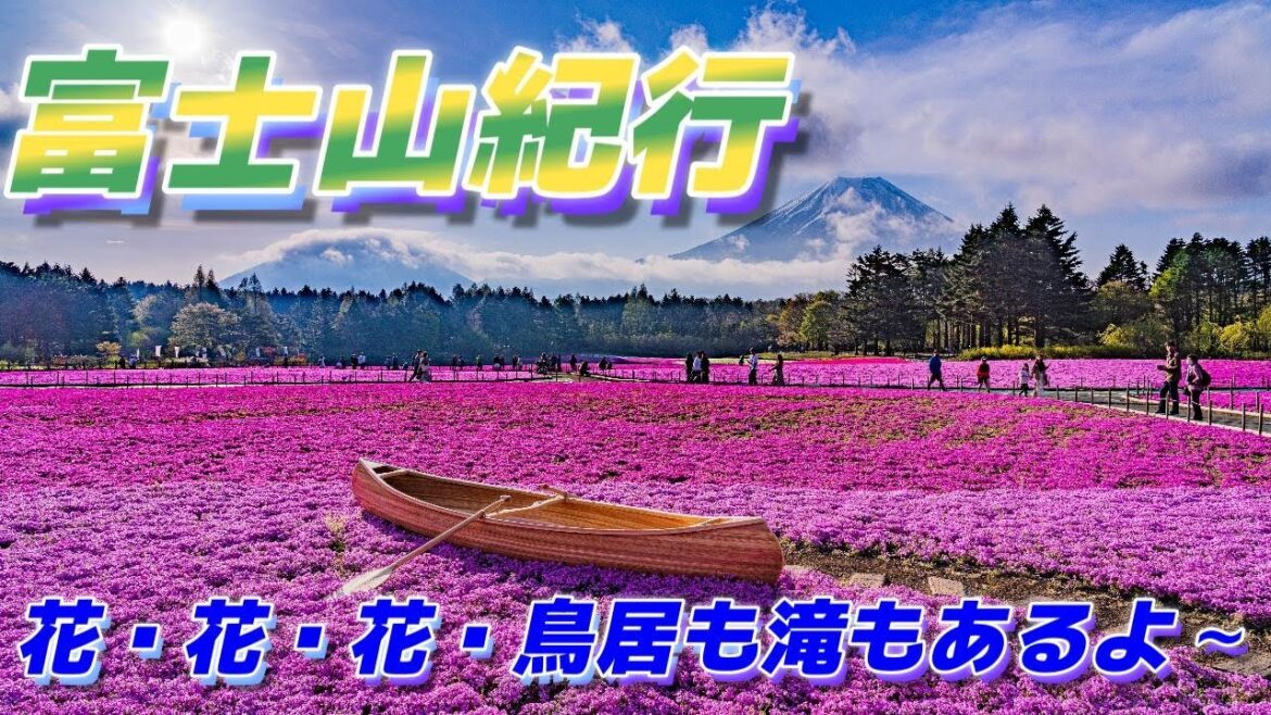 富士山紀行…弾丸、花、花、花、鳥居も滝も欲張り過ぎた~♪ 富士山紀行…弾丸、花、花、花、鳥居も滝も欲張り過ぎた~♪