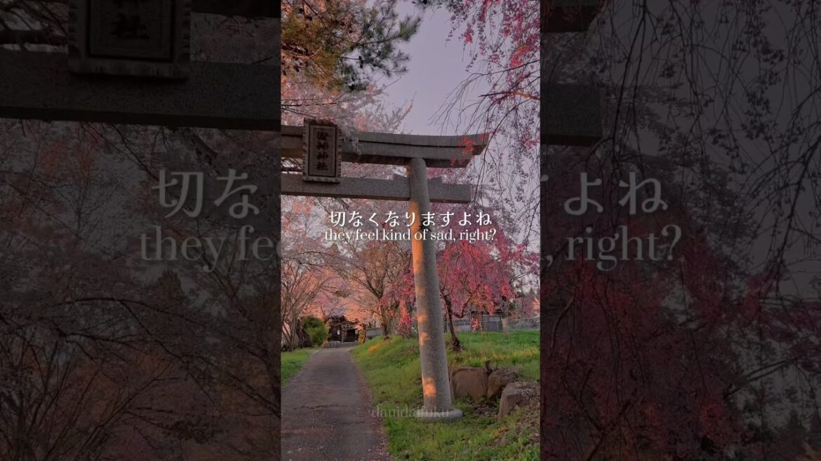 夕暮れは綺麗だけど、なんか切なくなりますよね。sunsets are beautiful, but somehow they feel kind of sad right?