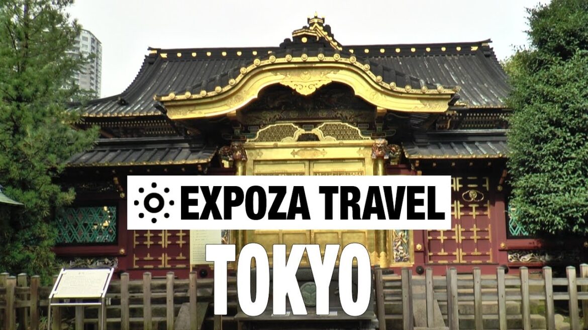 Tokyo (Japan) Vacation Travel Video Guide