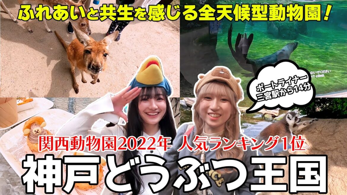 【神戸】夢のふれあい体験！神戸どうぶつ王国で愛らしいどうぶつたちに癒される【ロカプラ兵庫】