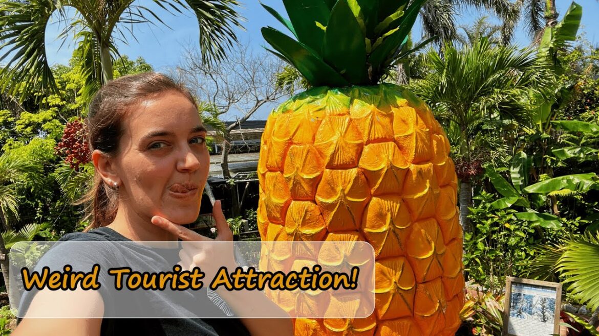 Japan Travel: Visit Nago Pineapple Amusement Park with me!