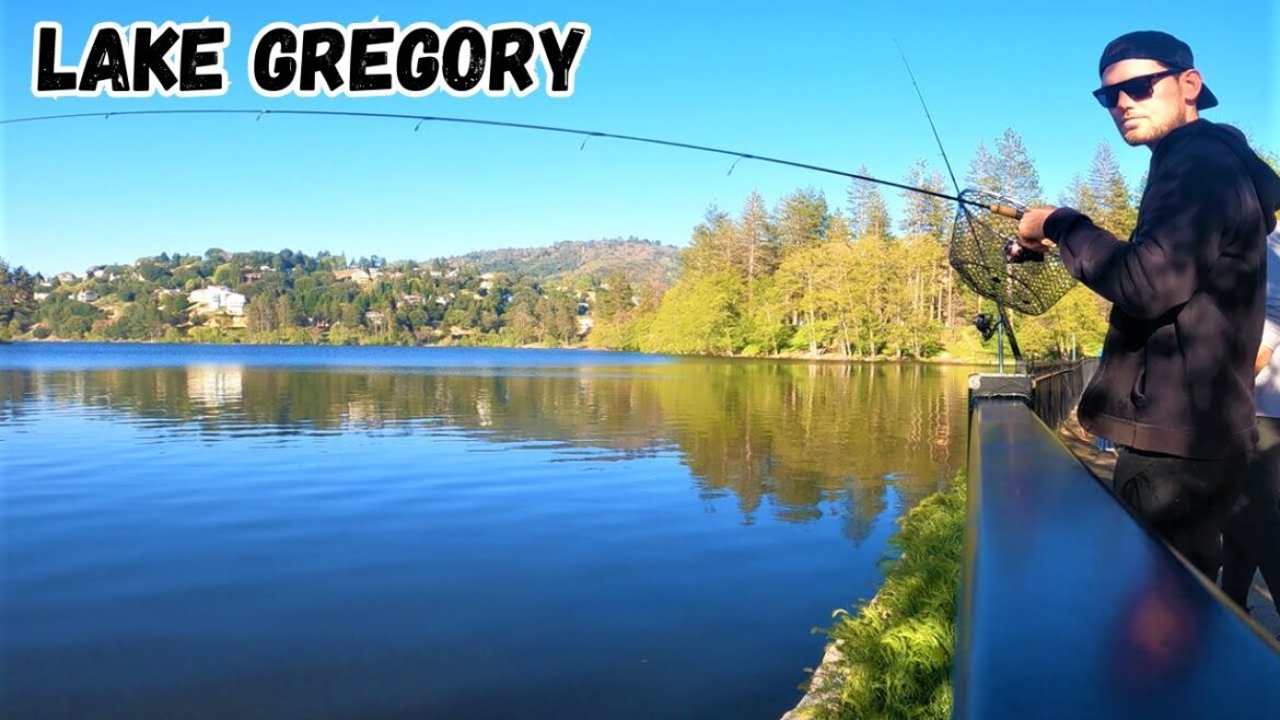 Afternoon Fishing for Stocked Rainbow Trout || Lake Gregory