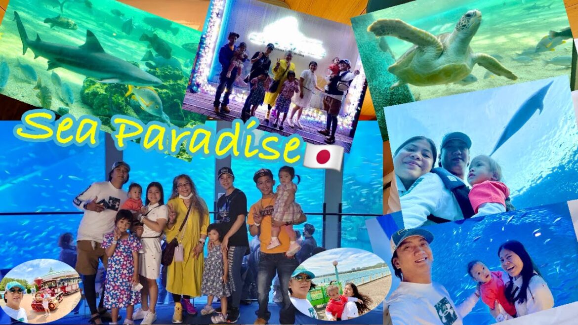 Sea Paradise Yokohama Hakkeijima🇯🇵 | White Dolphin | AithanTrip Channel