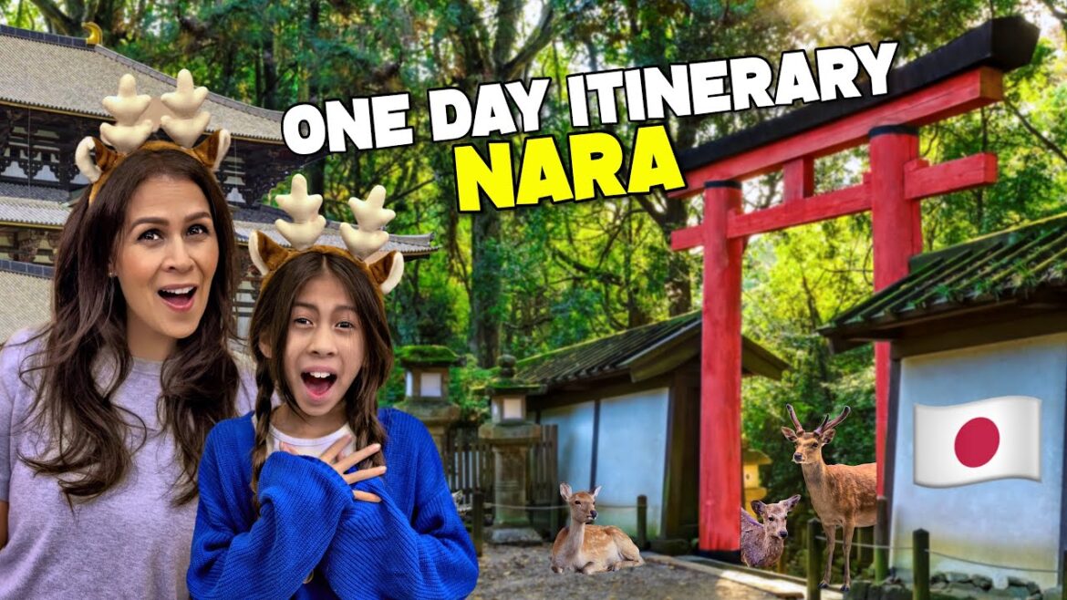 The Best One Day NARA Itinerary 🇯🇵 (Top 5 Things to do in Japan’s original capital) The Best One Day NARA Itinerary 🇯🇵 (Top 5 Things to do in Japan’s original capital)