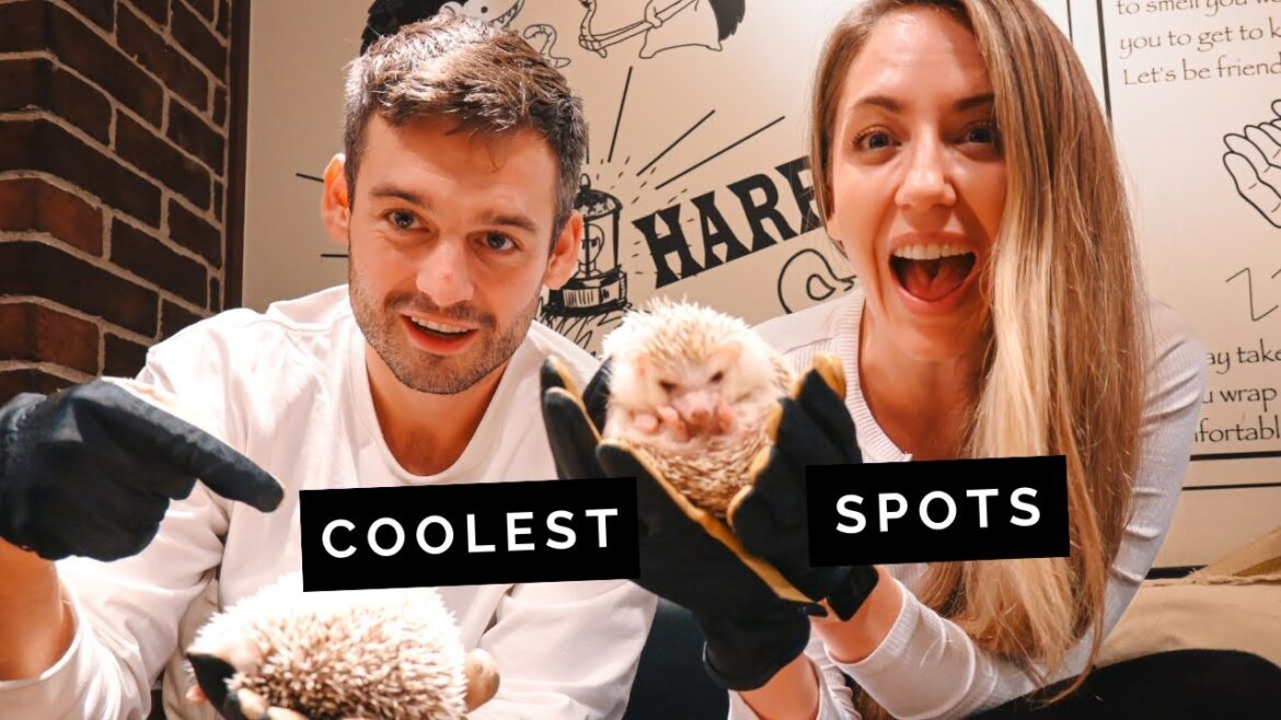 2 Amazing days of FOOD & FUN in Tokyo (What a trip!)