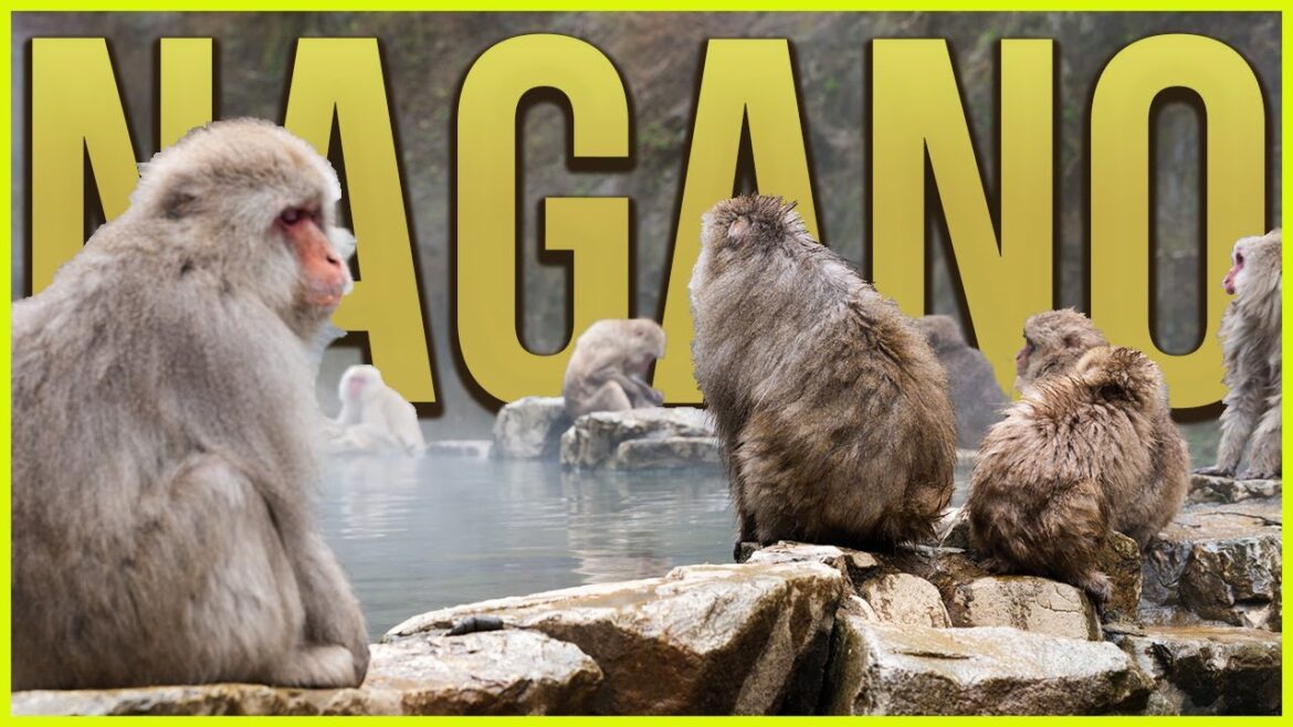 Why you should Travel Nagano Prefecture, Japan