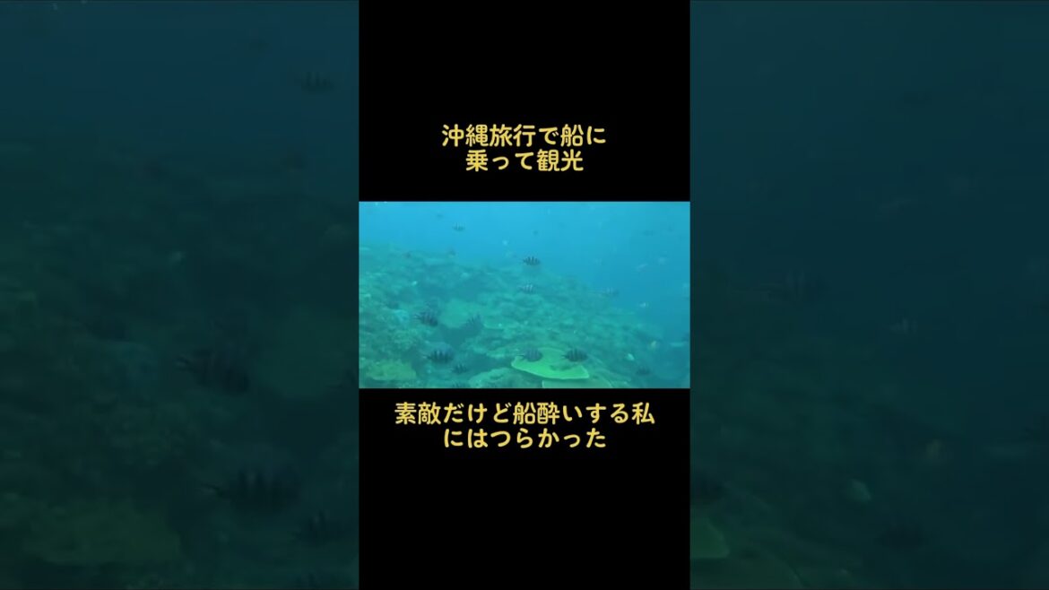 【沖縄旅行】船に乗って観光したらやばすぎた！綺麗な海を泳ぐ魚がとても素敵です〜travel to okinawa beautiful sea