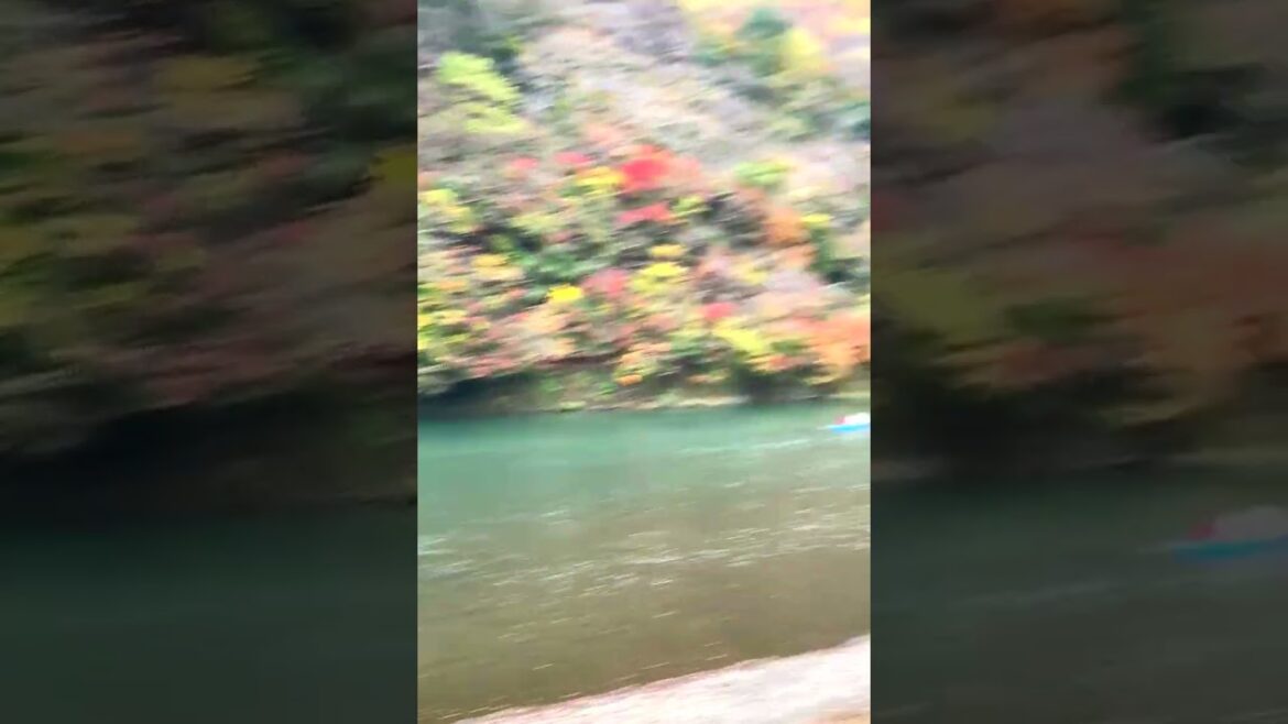 Inside Japan’s Bamboo Forest – Arashiyama Kyoto Inside Japan's Bamboo Forest - Arashiyama Kyoto