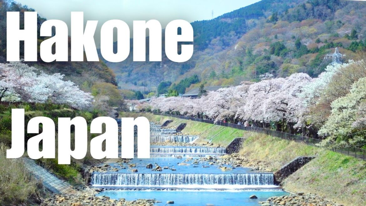 Overnight trip to an Onsen town near Tokyo - Views of Mt. Fuji and Lake Ashi in Hakone!