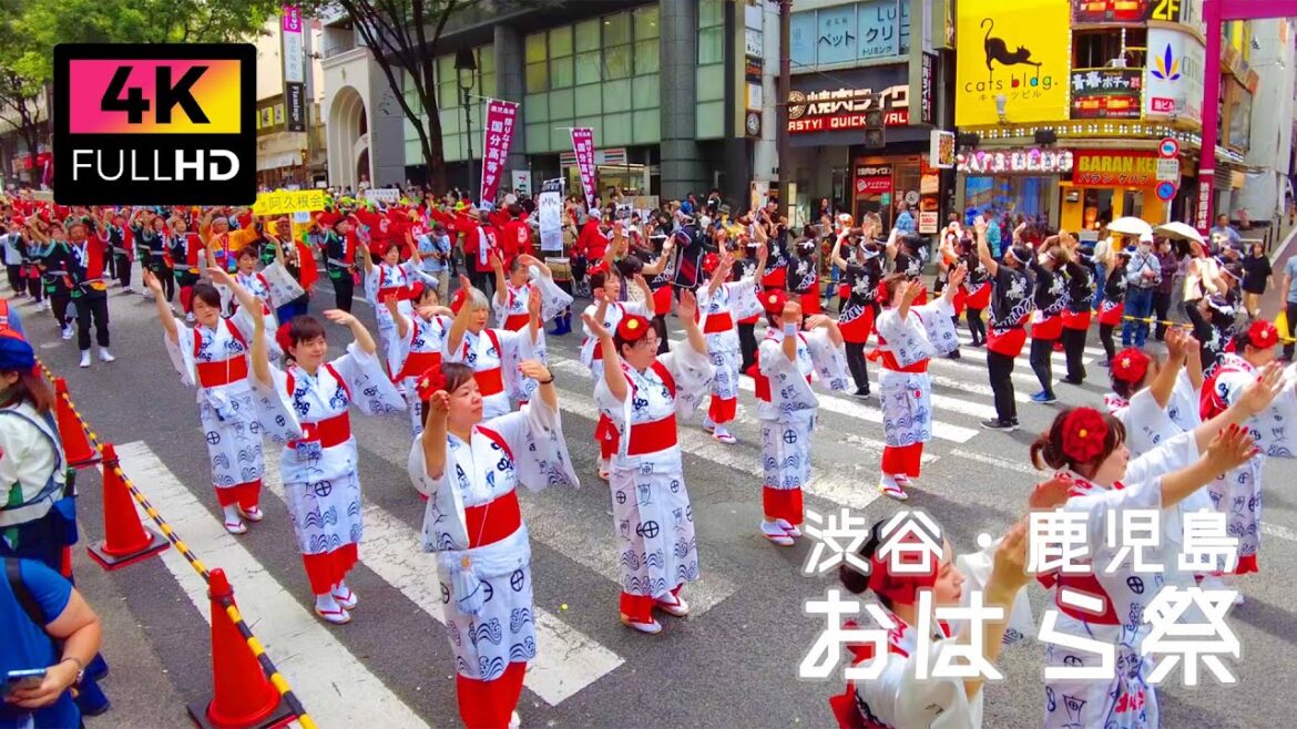 【4K】道玄坂で踊れ！第26回 渋谷・鹿児島おはら祭を散歩 (May 2023) | Walk around the Shibuya-Kagoshima Ohara Festival.
