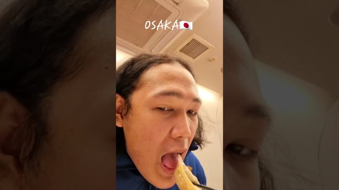 Osaka, Japan - Winter 2023