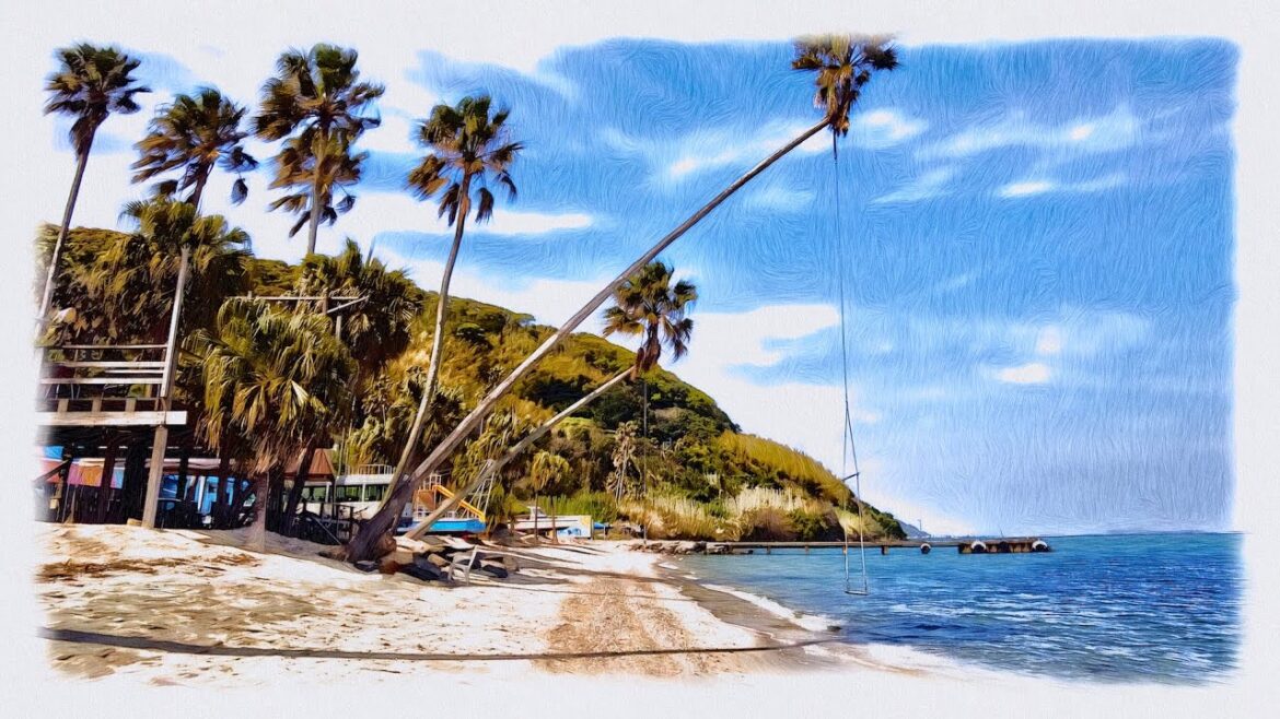 Relaxing Walk on Japanese Island Beach🏝(Fukuoka,Nokonoshima)4K ASMR Relaxing Walk on Japanese Island Beach🏝(Fukuoka,Nokonoshima)4K ASMR