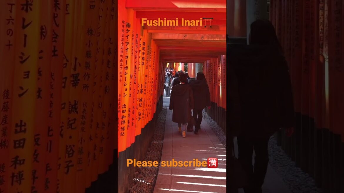 【KYOTO Japan】【Fushimi Inari】#pleasesubscribe #travel #japan #shrine #fushimiinaritaisha