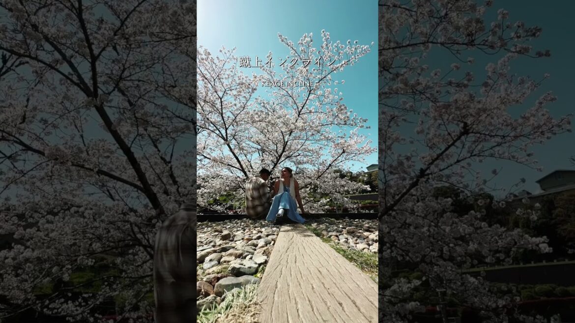 Most Beautiful Cherry Blossoms in Kyoto Japan 🌸