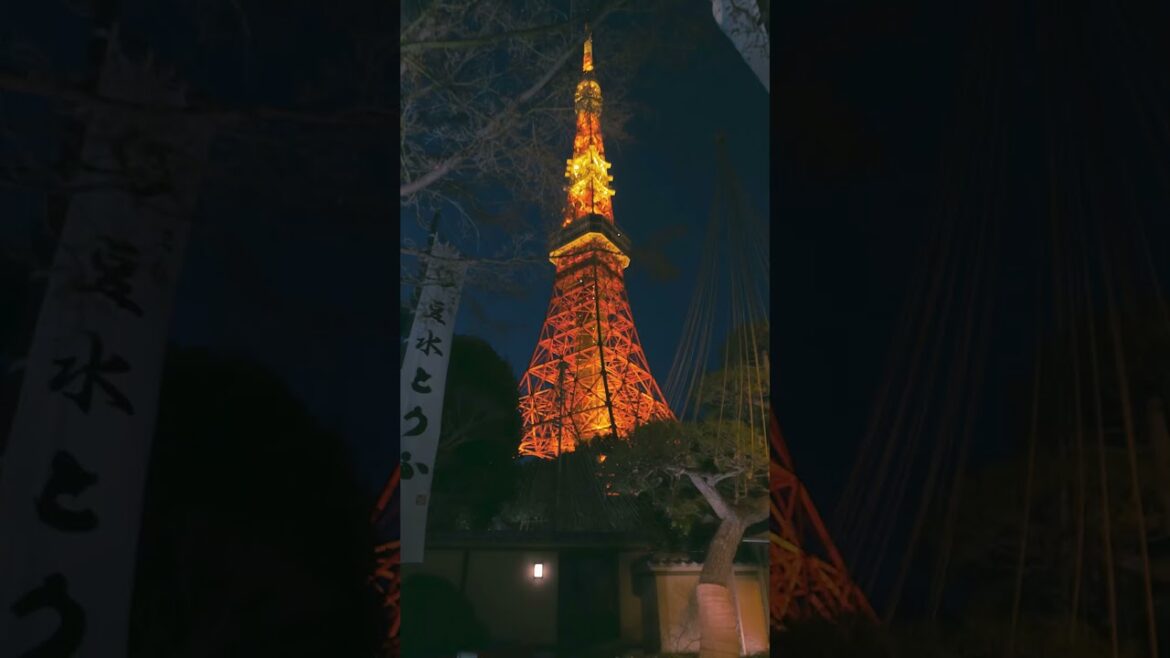 Japan Street Photography #osaka #tokyo #kyoto