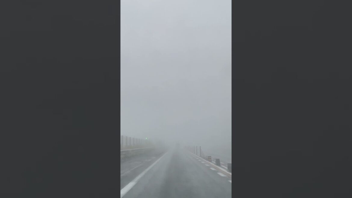 トンネル抜けると「霧がやばい……」危険なドライブ映像 #shorts