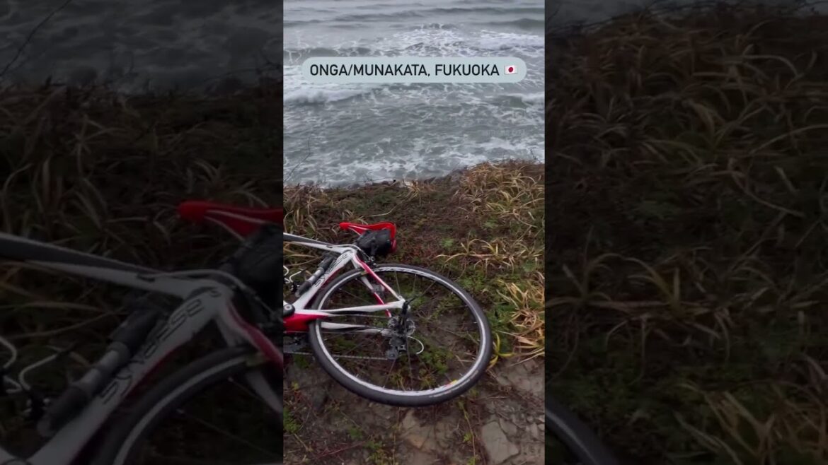 Munakata Cycling Road #travel #cycling #bike #nature #fukuoka #japan #trip #roadbike #ocean #kyushu