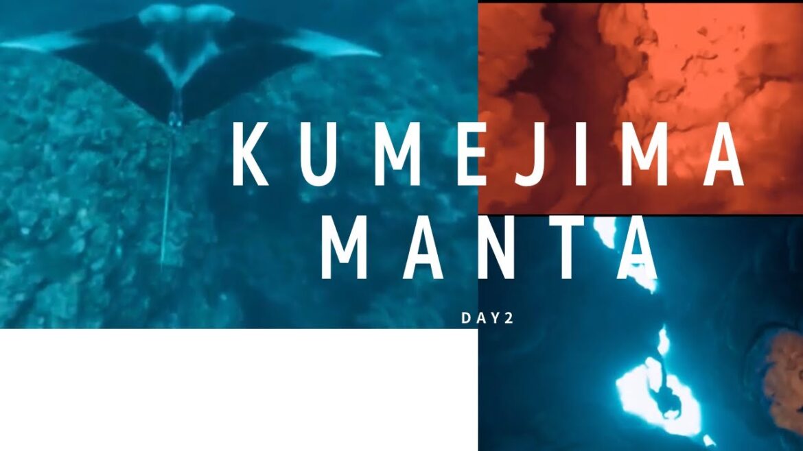 Japan Okinawa kumeisland tour day2