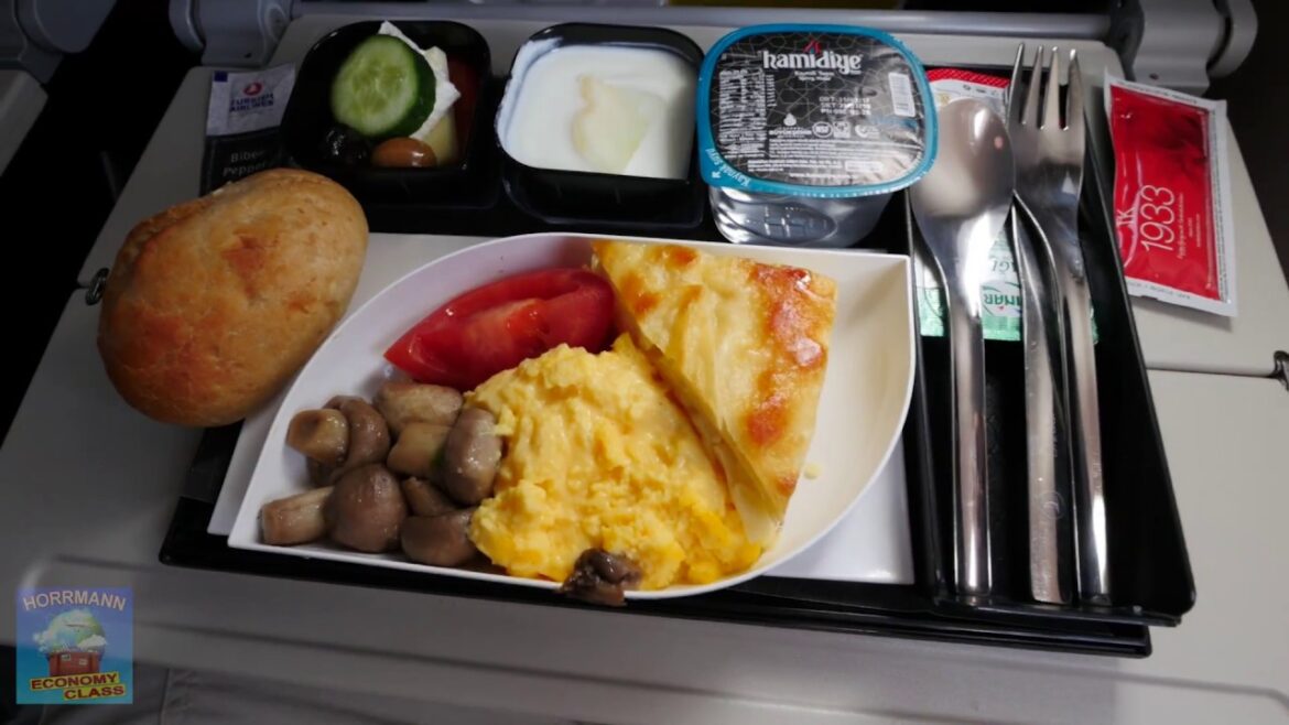 LINHAS AÉREAS TURCAS 🔴 TURKISH AIRLINES 🔴 Classe Econômica 🔴 Vôo Completo