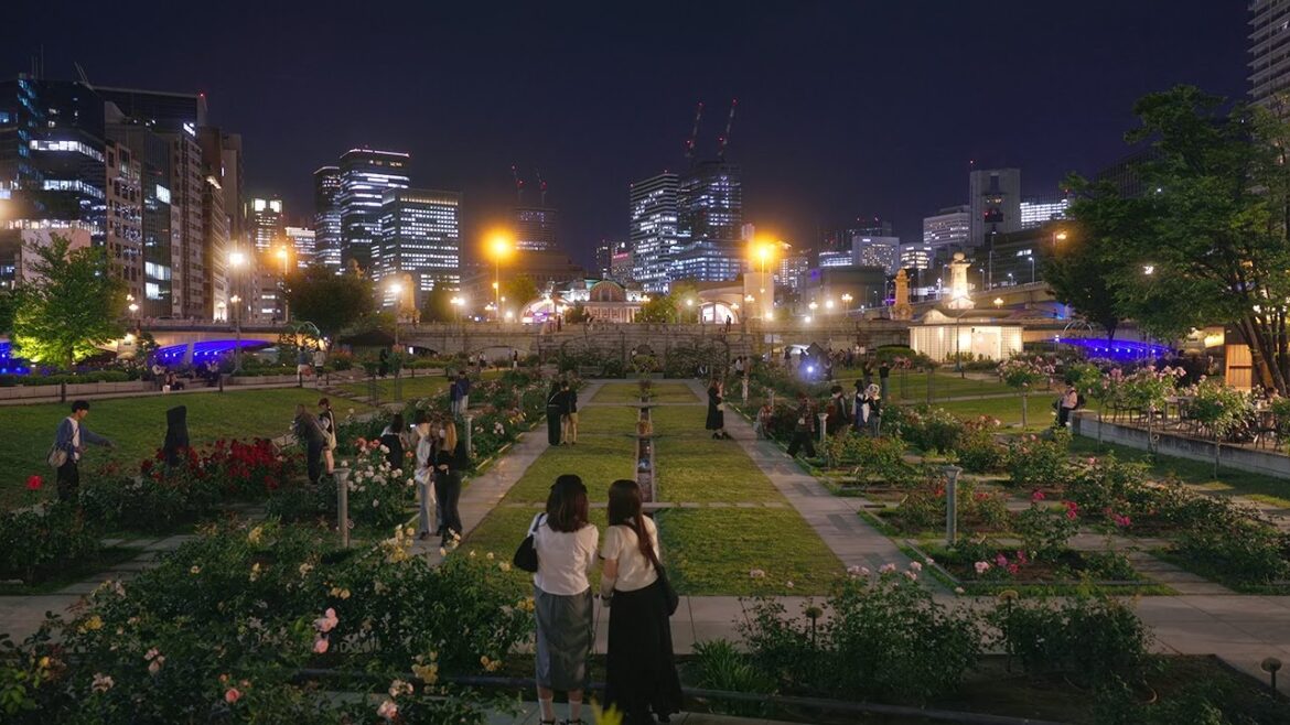 [4K] 中之島公園 春の見頃を迎えたバラ園の夜景 Night View of Rose Garden in Spring Nakanoshima Park Osaka Japan