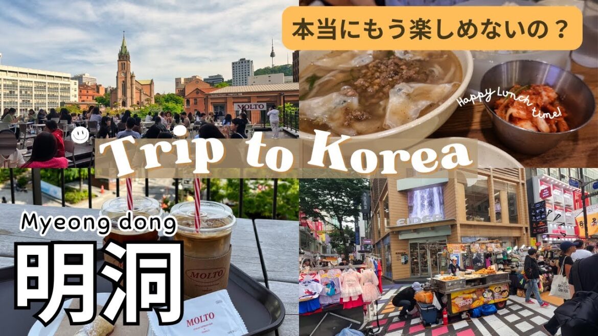 【オバ旅】ソウル一の繁華街「明洞」の今が気になる!渡韓歴20年で感じた今 #korea #seoul #明洞 #韓国 【オバ旅】ソウル一の繁華街「明洞」の今が気になる!渡韓歴20年で感じた今 #korea #seoul #明洞 #韓国