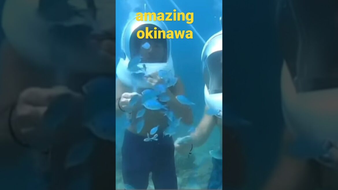 #japantravel #okinawa #japan #nagoyakim