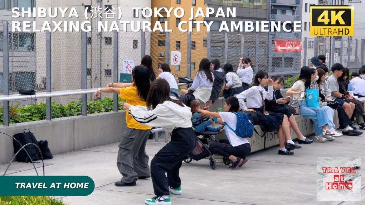 4k hdr japan travel | Walk in Shibuya (渋谷) Tokyo japan |  Relaxing Natural City ambience