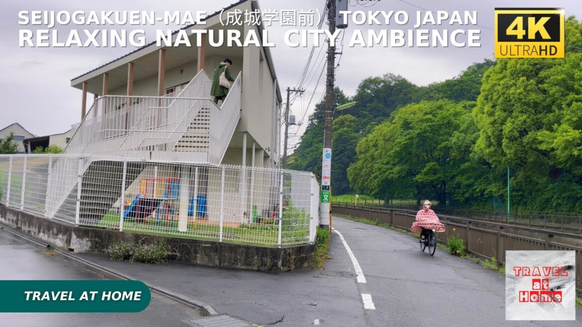 4k hdr japan travel | Walk in Seijogakuen-mae（成城学園前）Tokyo japan |  Relaxing Natural City ambience