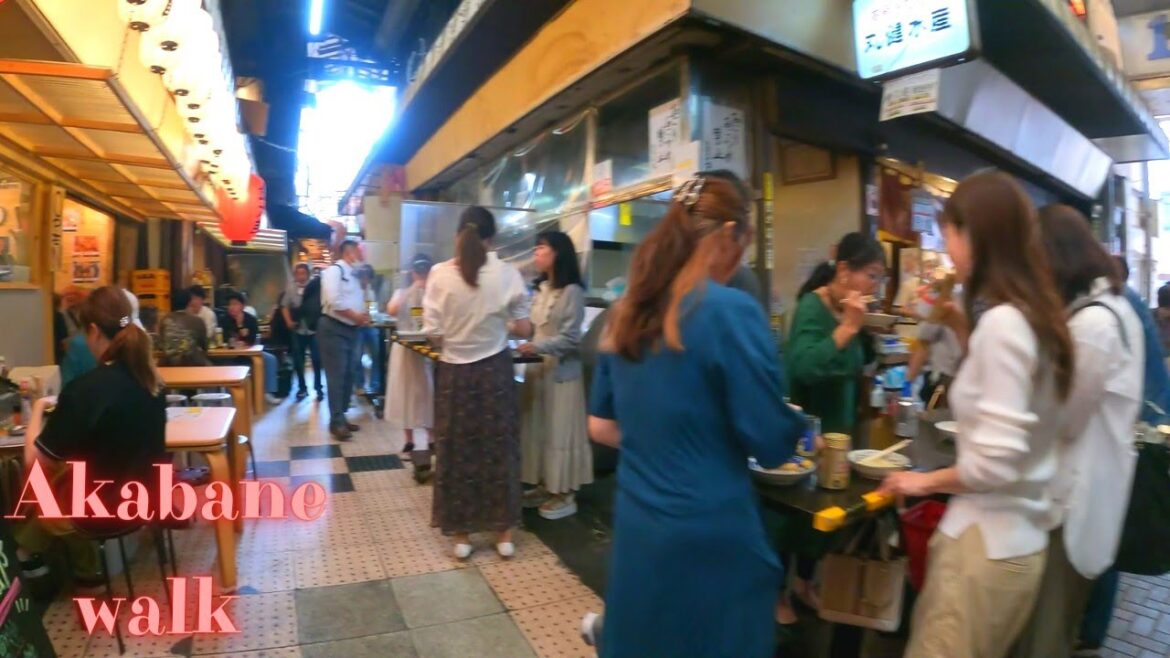 Drunk Sanctuary Akabane Tokyo walking tour. 【4K】5.2023 Drunk Sanctuary Akabane Tokyo walking tour. 【4K】5.2023