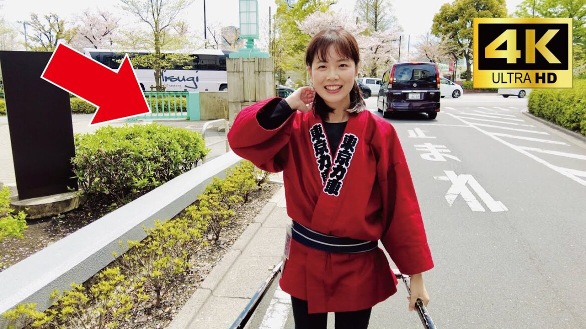 A cute Japanese girl Misa-chan guided me around spring Asakusa by rickshaw😊 @JapanesegirlMisa A cute Japanese girl Misa-chan guided me around spring Asakusa by rickshaw😊 @Japanese_girl_Misa 