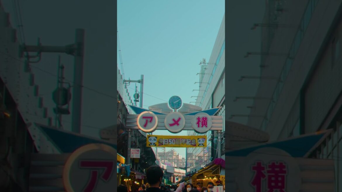 Bustling Streets of Tokyo | Amazing Japan Travel Adventure Documentary