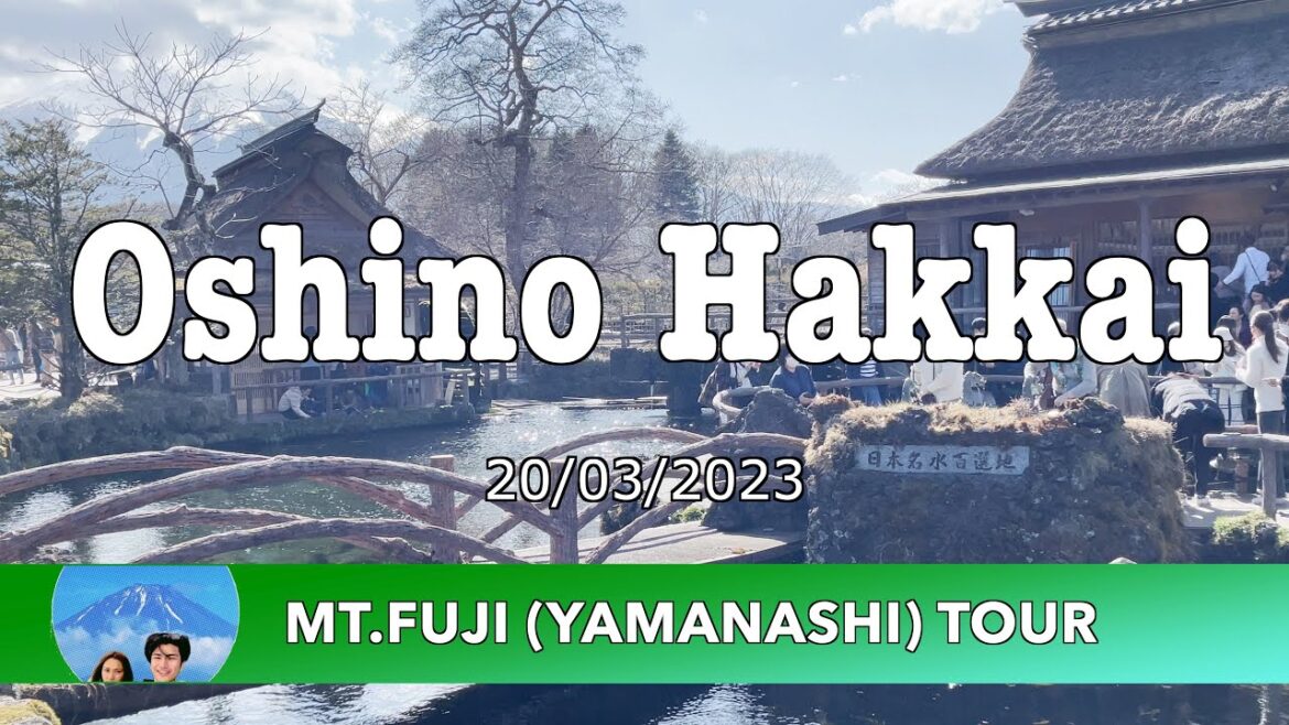 Oshino Hakkai : 20/03/2023 Mt.Fuji ( Yamanashi ) Tour