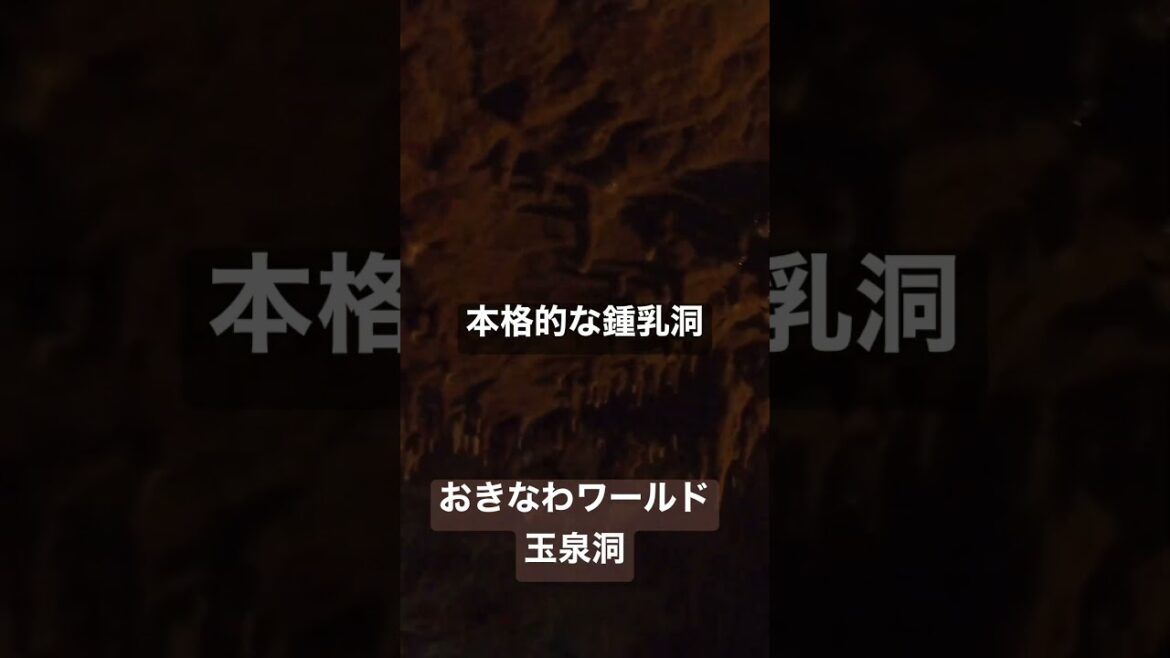 おきなわワールド　玉泉洞は本格的な鍾乳洞体験ができますよう😊　#沖縄 #沖縄旅行 #沖縄移住 #おきなわワールド #玉泉洞 #okinawa #okinawatrip #japan #trip