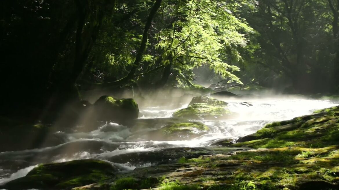 Japan Nature Relaxation – 3hr Kikuchi Valley Relaxing Sound Japan Nature Relaxation - 3hr Kikuchi Valley Relaxing Sound