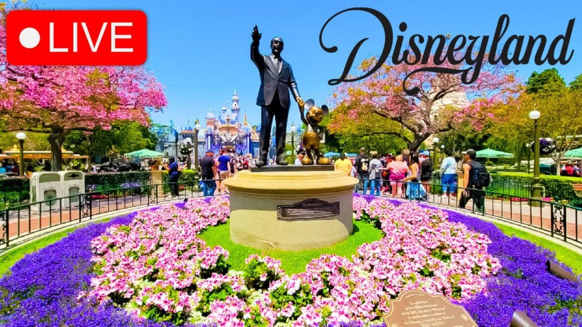🔴 LIVE: Tuesday Afternoon at Disneyland