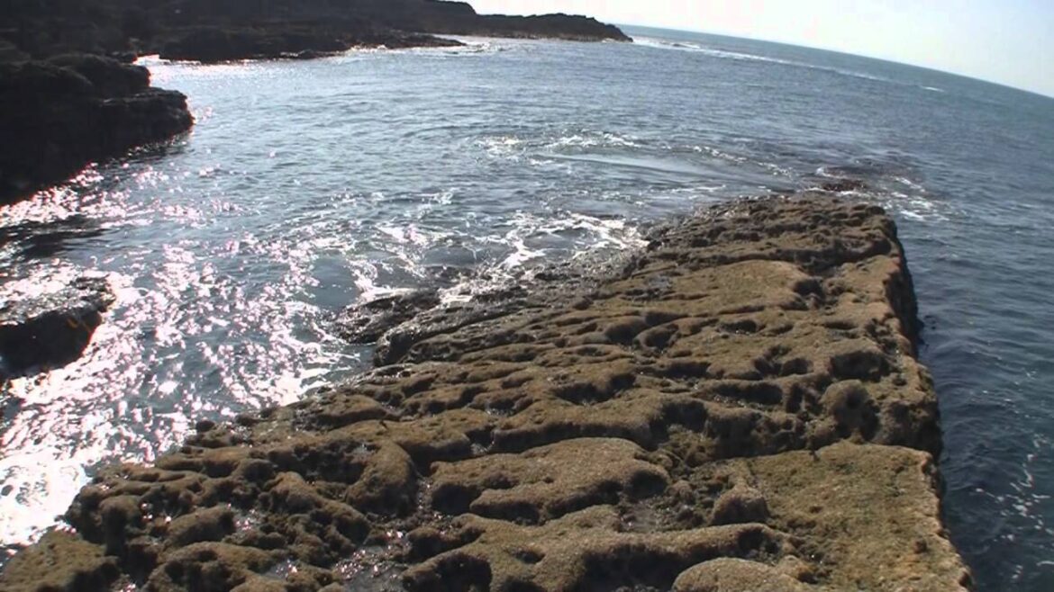 Virtual Explorer: a journey to Hook Head, Ireland (hiking, snorkeling, diving). March 2012. Virtual Explorer: a journey to Hook Head, Ireland (hiking, snorkeling, diving). March 2012.