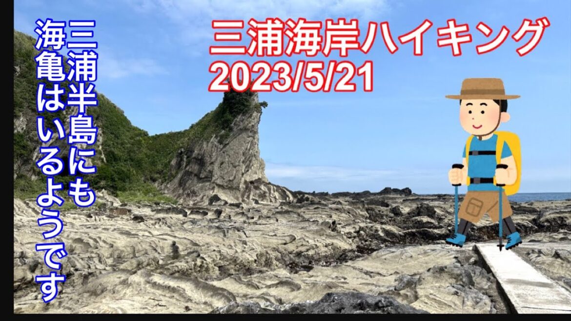 【ハイキング】三浦海岸をハイキングしました。まるよし食堂も美味しかったです。