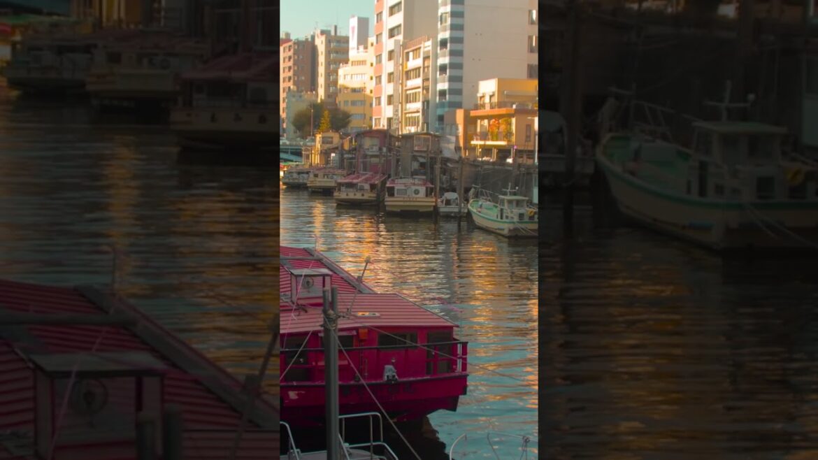 Canals of Tokyo | Amazing Japan Travel Adventure Documentary Canals of Tokyo | Amazing Japan Travel Adventure Documentary